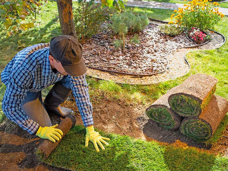 Features of Our Landscaping Services