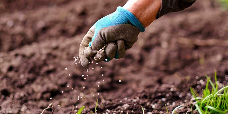 Fertilizing Services
