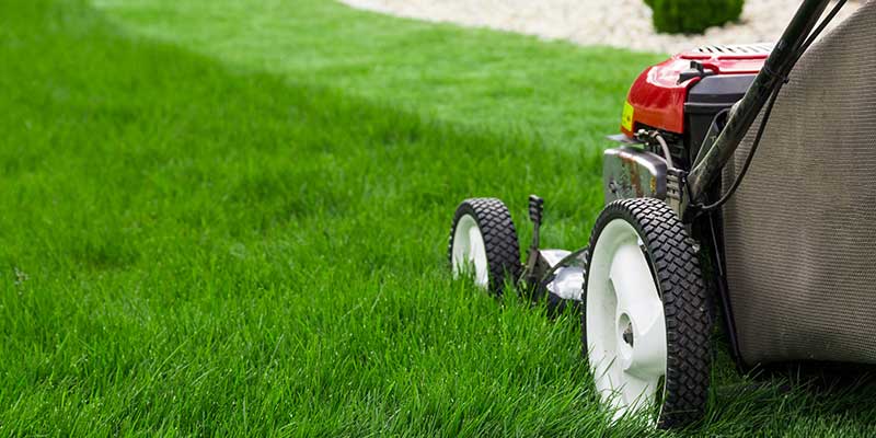 Lawn Care Services
