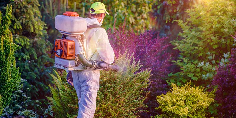 Pest Control Services