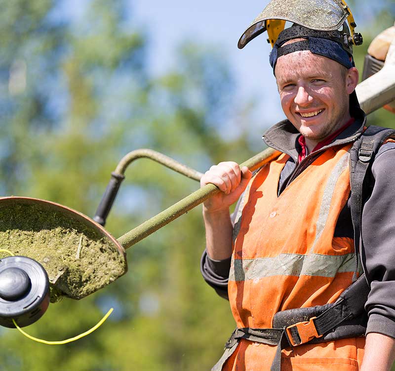 Professional Landscaping Services