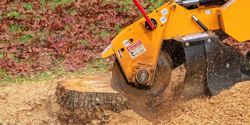 Stump Grinding & Removal Services